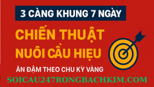 Nuôi dàn 3 càng khung 7 ngày Rồng Bạch Kim Chuẩn Xác